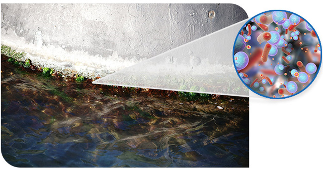 biofilms are responsible for billions of dollars in lost industrial productivity