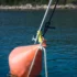 Accessories Cavo Yachting Boatasy Hooklinker Hook Attachment, with LED Flashlight Boatasy Hooklinker Hook Attachment, with LED Flashlight Accessories Cavo Yachting